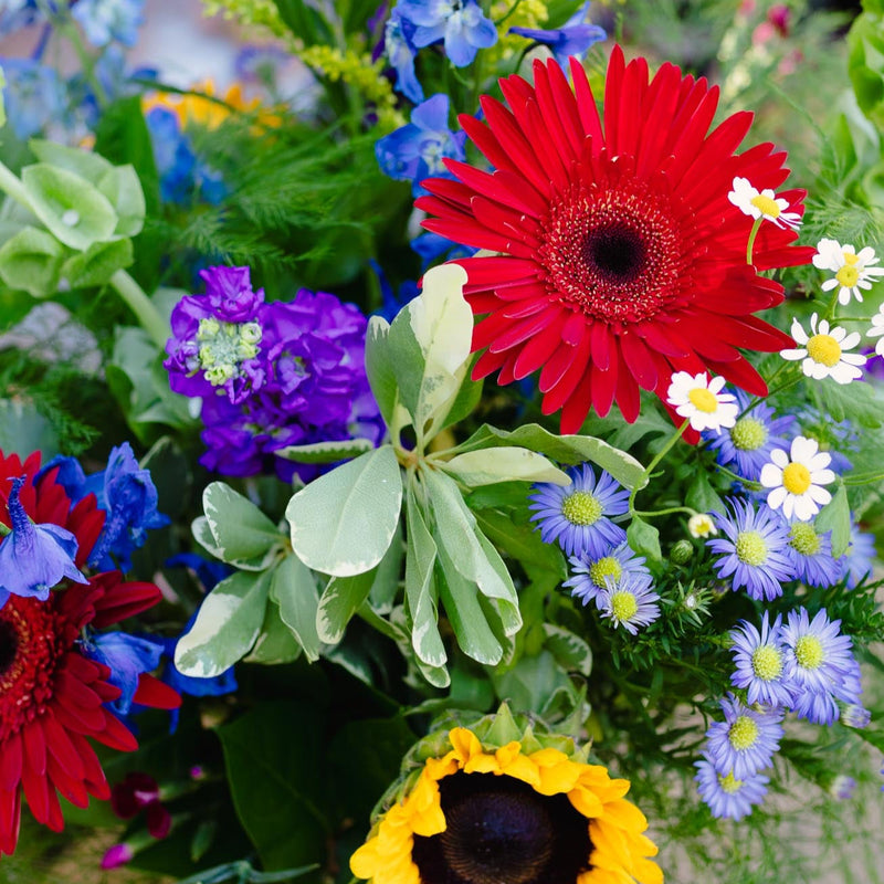Bouquet of colorful flowers including a red gerbera daisy, yellow sunflower, and purple and blue flowers.
