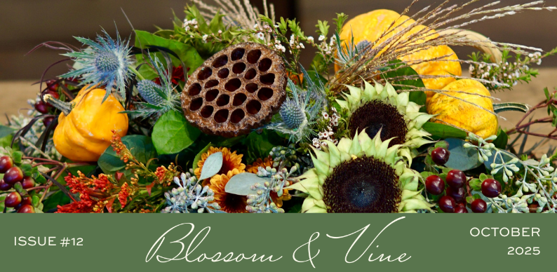 October '25 Newsletter