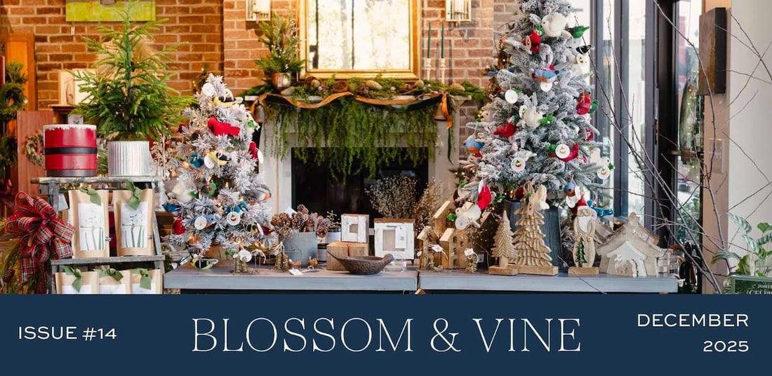 December '25 Newsletter