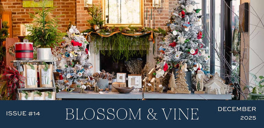 December '25 Newsletter