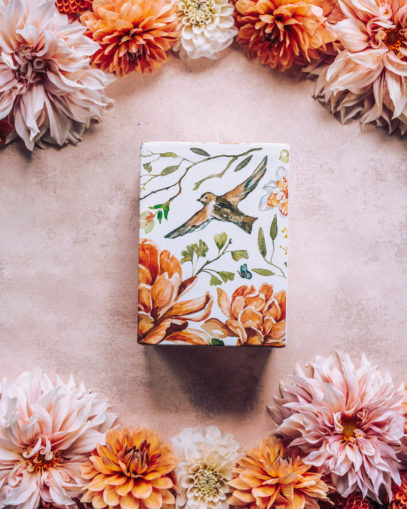 ESV Scripture Journal: NT Set