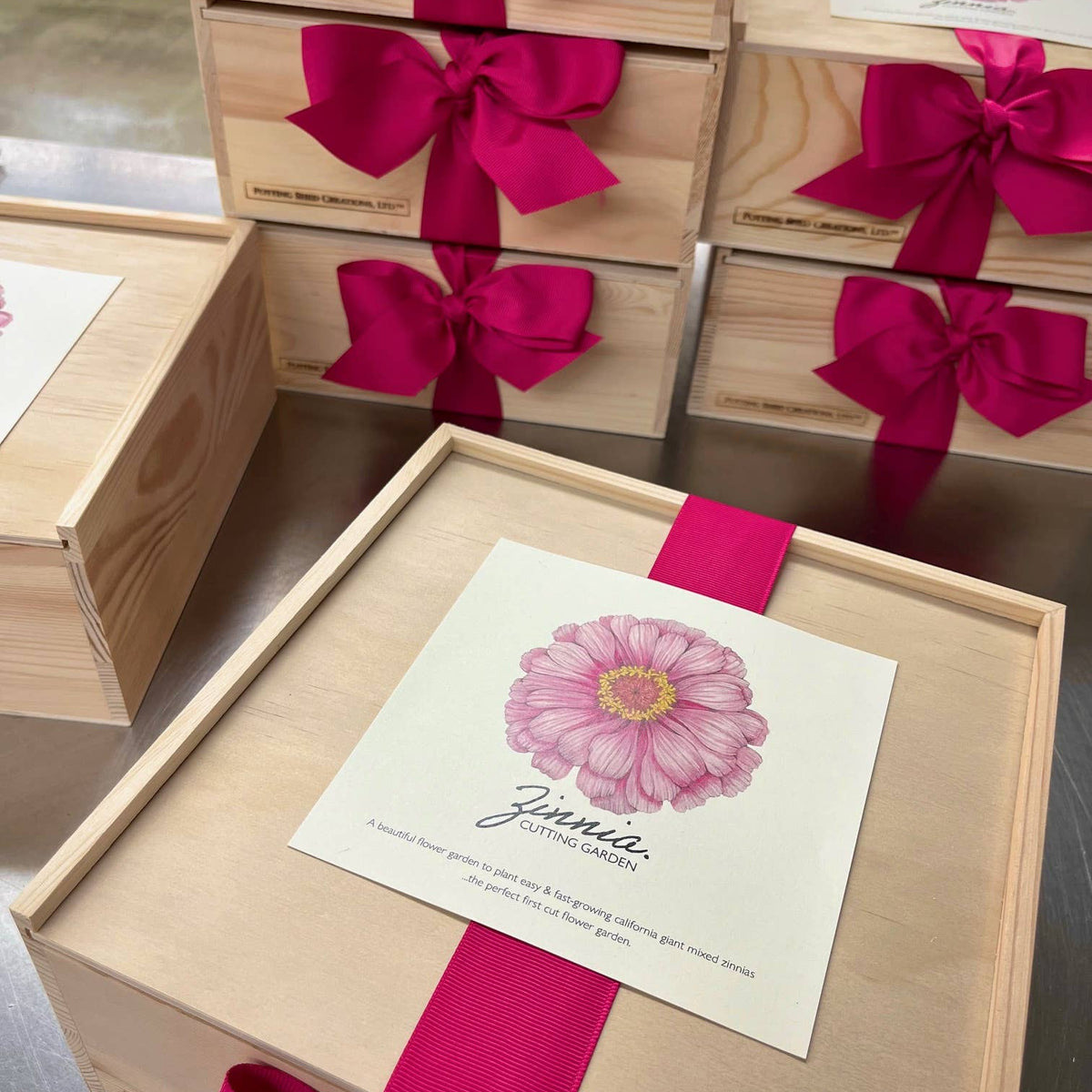 Wooden garden box with bright fuchsia bow ribbon and insert card featuring illustrated pink gerbera daisy and seed planting instructions.