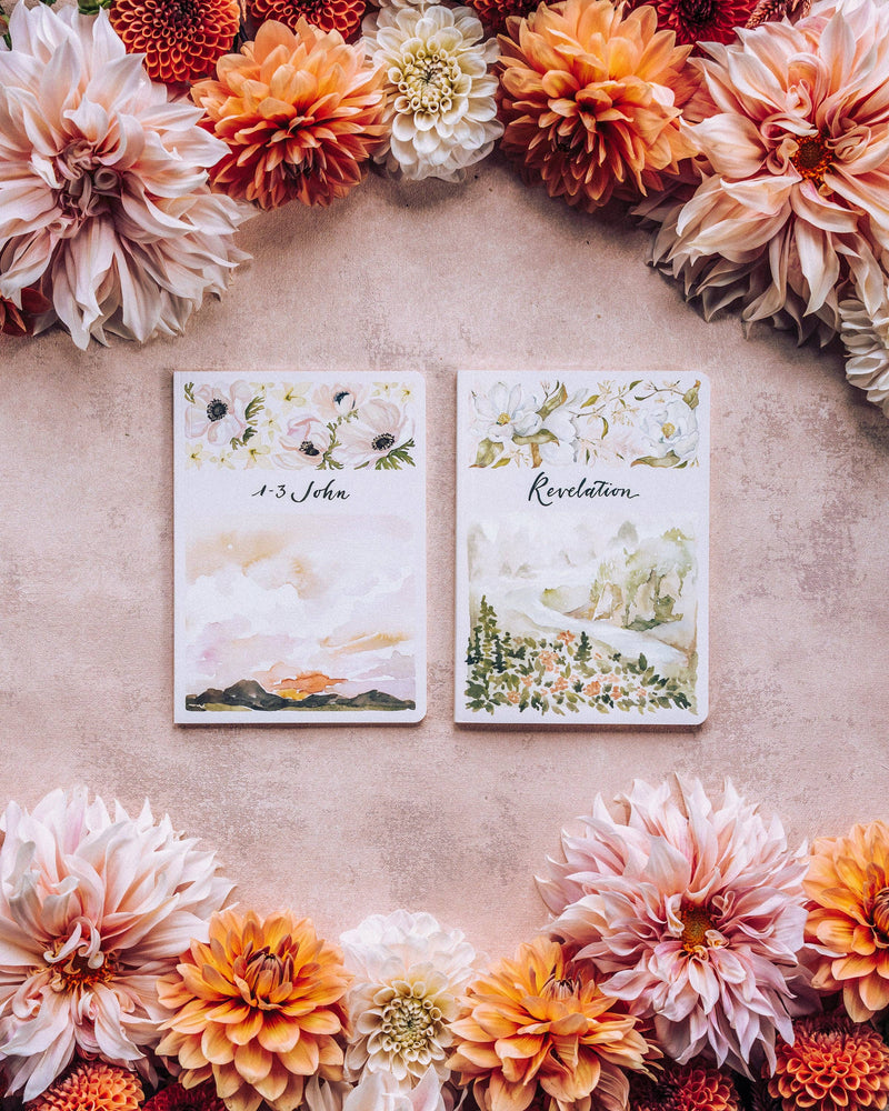 ESV Scripture Journal: NT Set