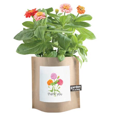 'Thank you' garden.in.a.bag