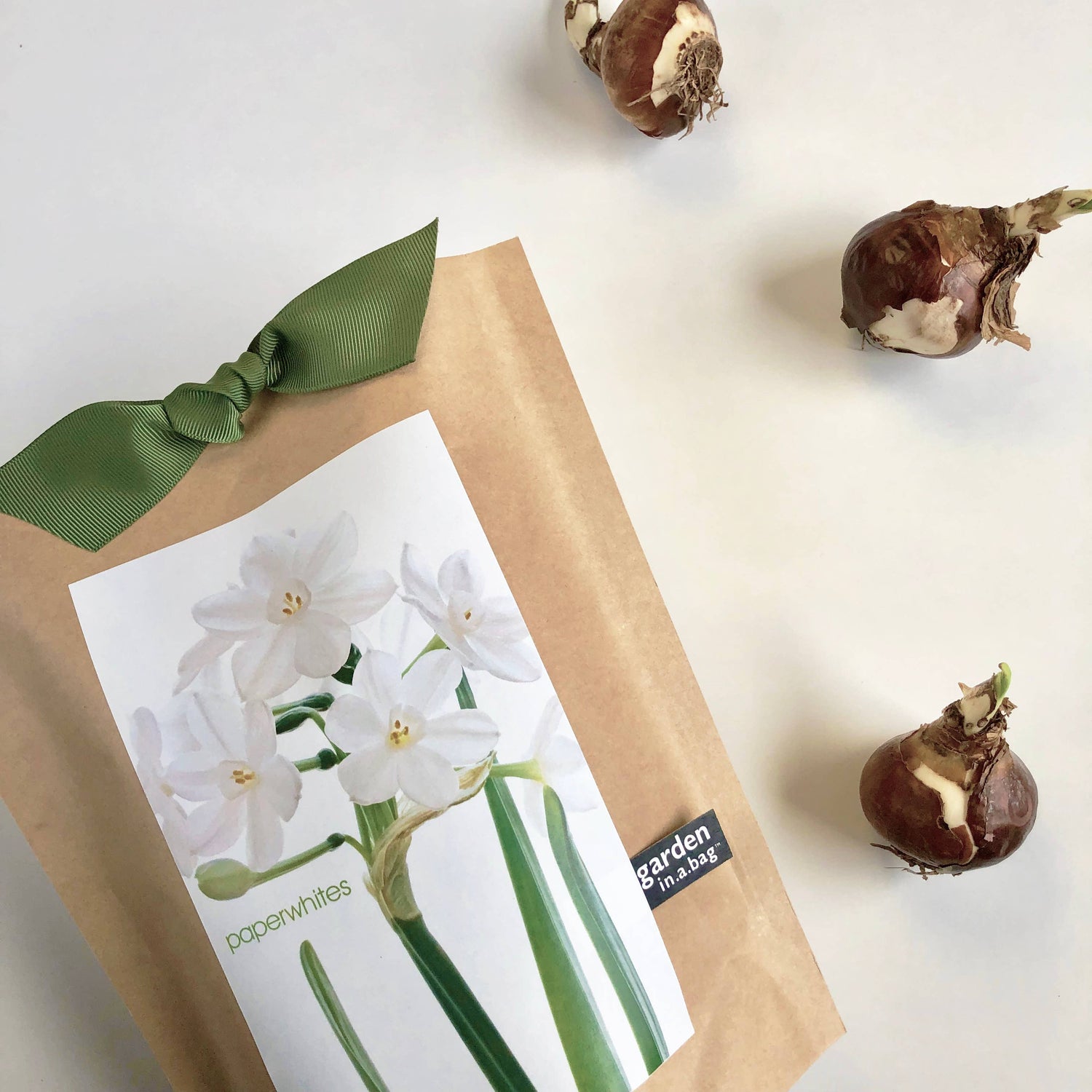 Garden in a Bag kraft paper packet with paperwhite seed packet and brown bulbs, topped with green ribbon bow.