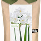 Kraft paper seed packet with green ribbon bow, featuring white paperwhite flowers with yellow centers and green stems on product label.
