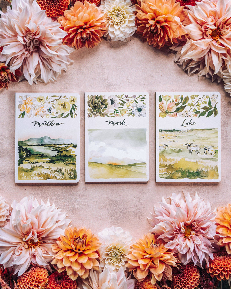 ESV Scripture Journal: NT Set