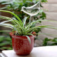 Clear glass bird-shaped watering stake positioned in green potted plant with narrow leaves in decorative red ceramic pot