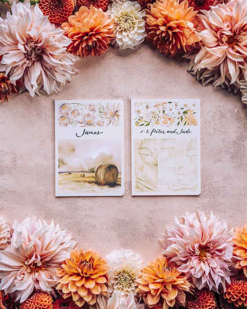 ESV Scripture Journal: NT Set