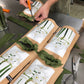 Paperwhite bulb kit assembly with wooden planter trays, white bulbs, fresh green stems, and instruction cards