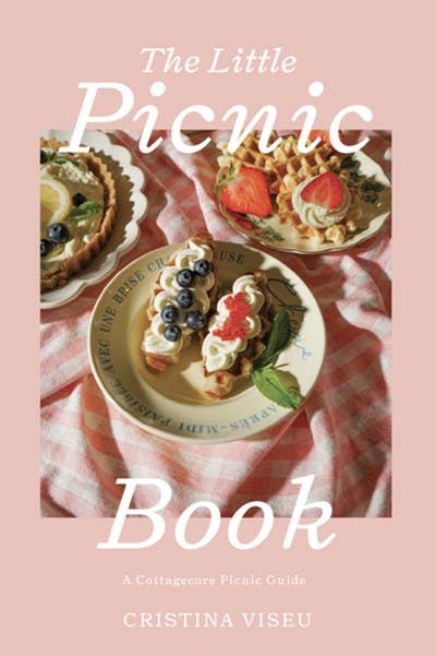 Cottage-core picnic book cover with plated toasts topped with berries, greens, and whipped cream on pink gingham fabric.