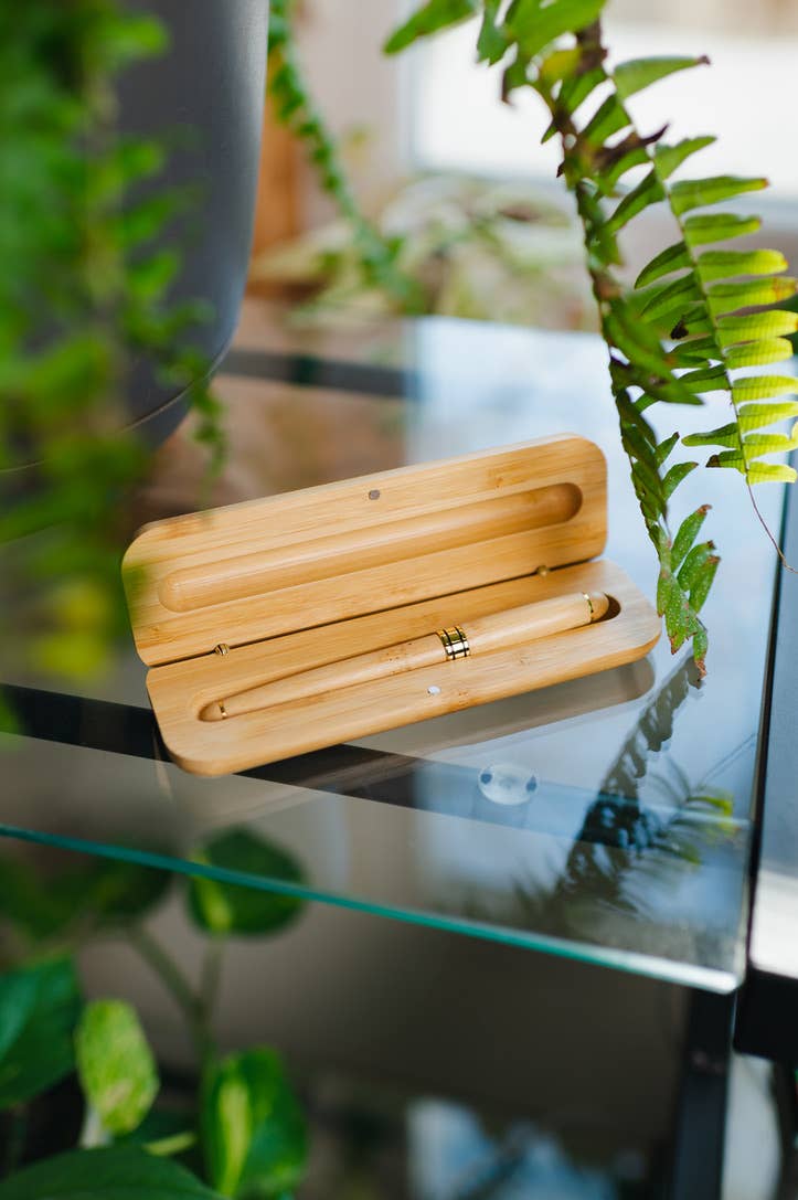 Open bamboo pen case with matching light wood pen inside, eco-friendly writing instrument set displayed on glass with green plants