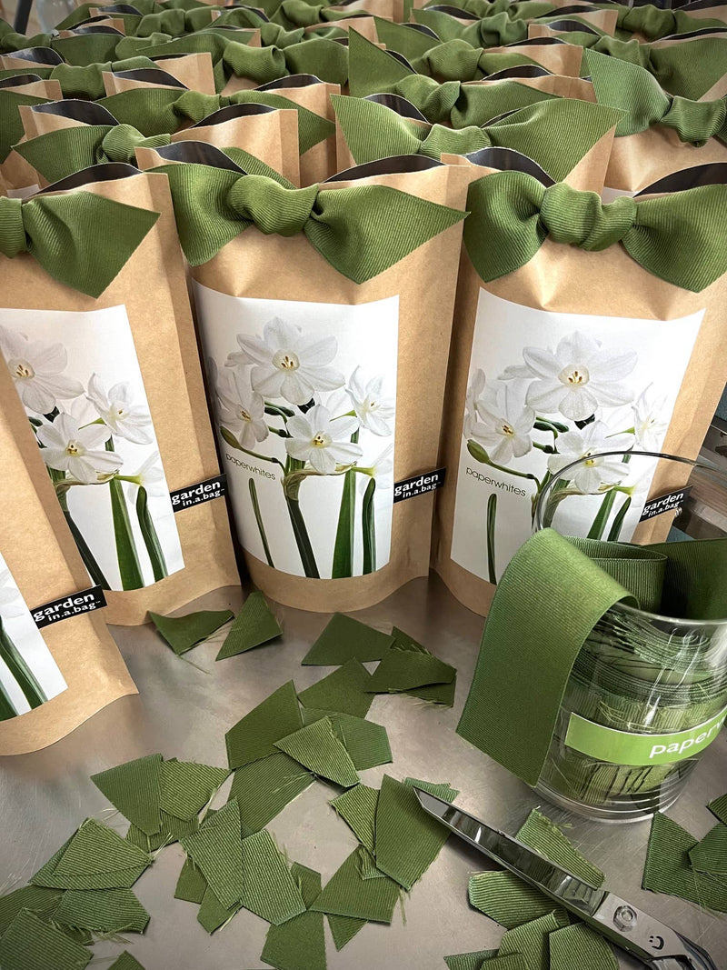 Kraft paper bags of paperwhite bulbs with green fabric ties, featuring white flower illustrations and green stems on labels.