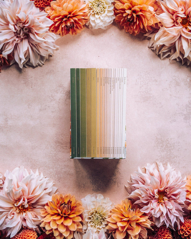 ESV Scripture Journal: NT Set