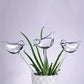 Three clear glass bird-shaped watering stakes with metal beaks and tops in a white textured pot filled with green succulent plants.