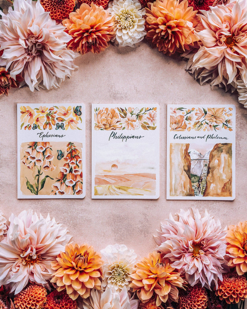 ESV Scripture Journal: NT Set