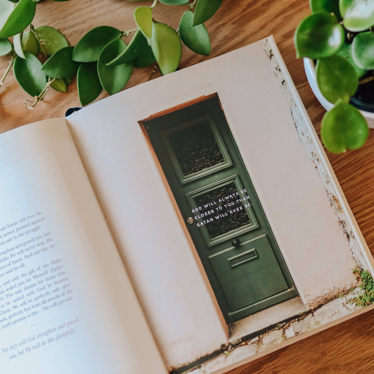 Open book with green door photo and white text, surrounded by potted succulents on wooden surface