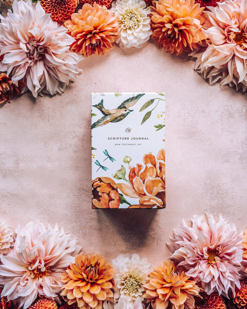 ESV Scripture Journal: NT Set