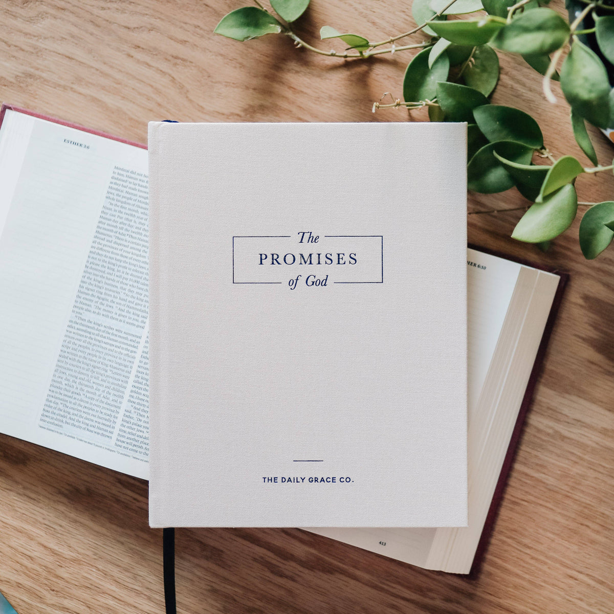 White hardcover book titled The Promises of God by The Daily Grace Co on wooden surface, with open pages and fresh green eucalyptus leaves.