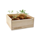 Light wood planter box with six potted herb and plant seedlings, each in individual growing pots with fresh green sprouts