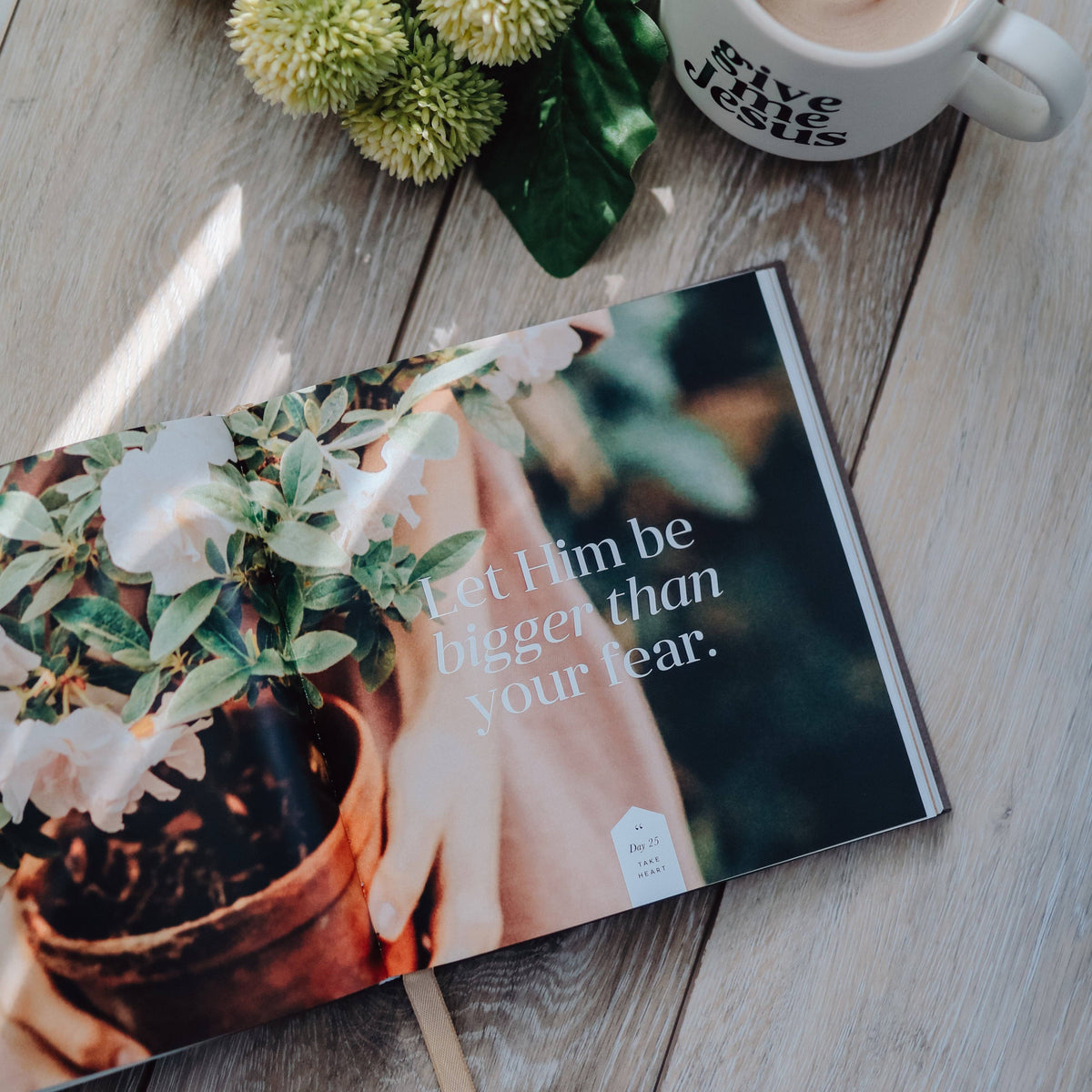Take Heart devotional with cream and dark cover displayed on gray wood table, potted white flowering plant on open pages, white mug nearby