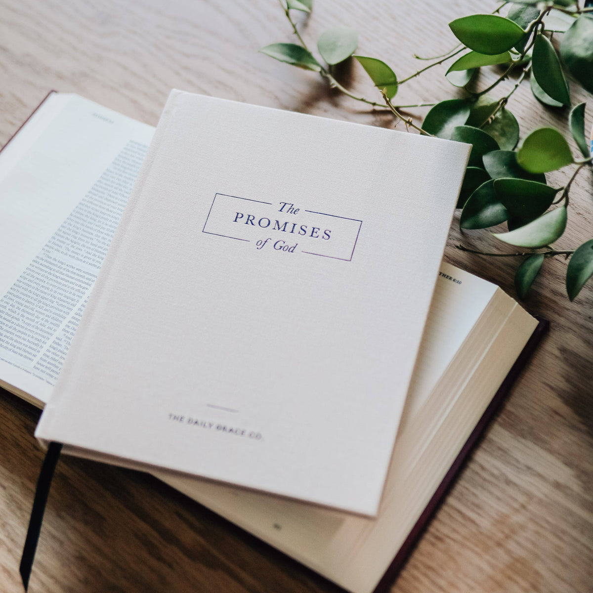 "The Promises of God" book with white cover and serif text, stacked on wooden surface with fresh green foliage nearby
