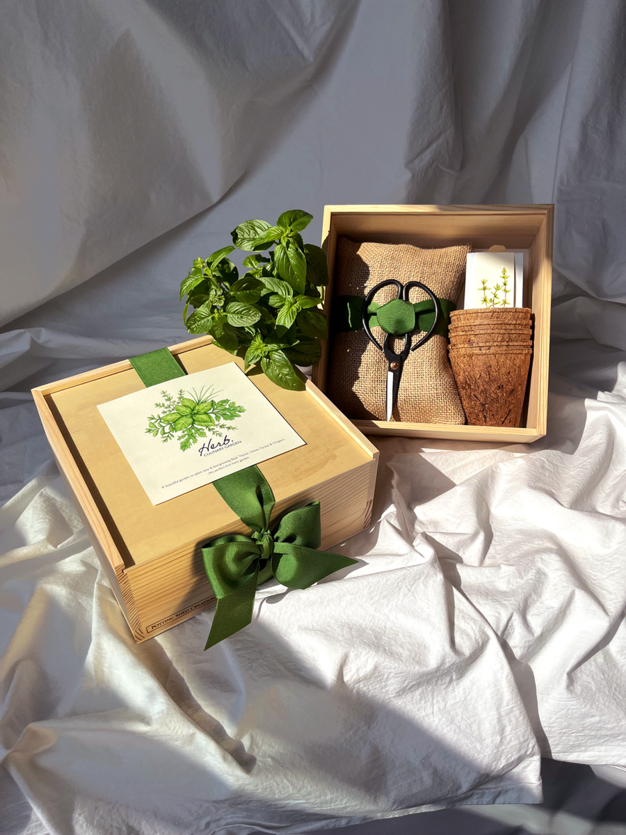Two wooden garden boxes displaying seedling starter kit with small green plants, instruction cards, and seed packets on white fabric backdrop