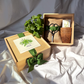 Two wooden garden boxes displaying seedling starter kit with small green plants, instruction cards, and seed packets on white fabric backdrop