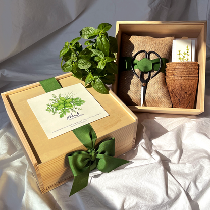 Unboxed garden growing kit with instruction guide, terracotta pot, and green seedlings in kraft packaging boxes