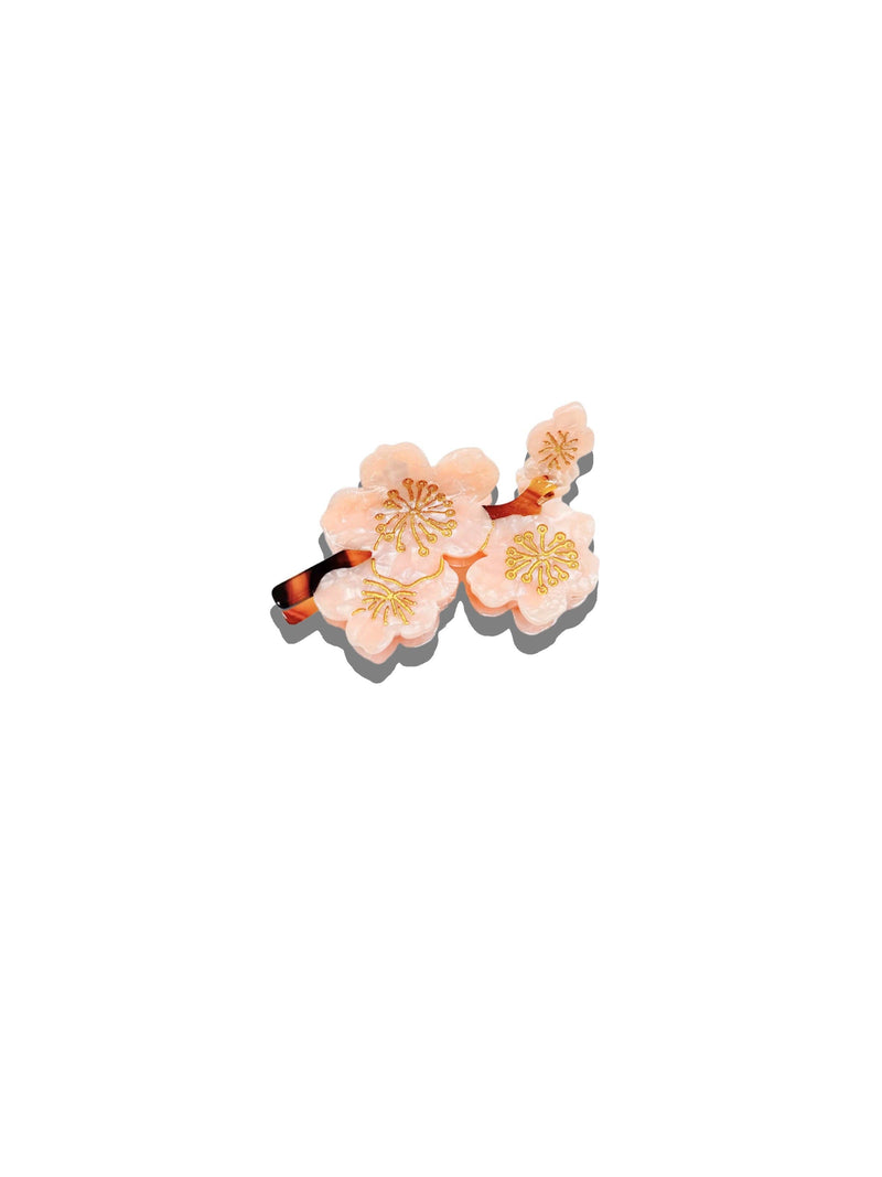 Claw Hair Clip