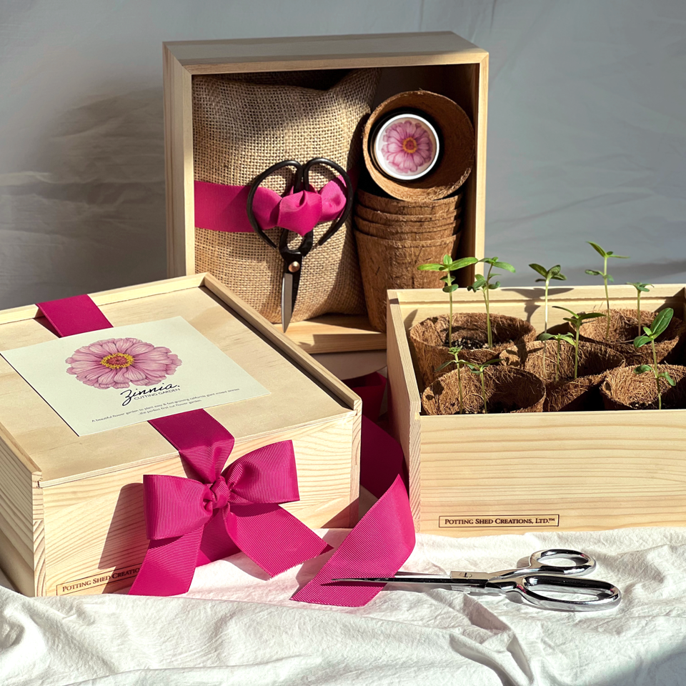 Wooden garden box kit with hot pink ribbon containing preserved flowers, seed packets, soil, and pruning shears arranged on white surface.