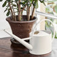 Buttermilk ceramic indoor watering can with arched handle beside terra-cotta potted jade plant on wooden surface