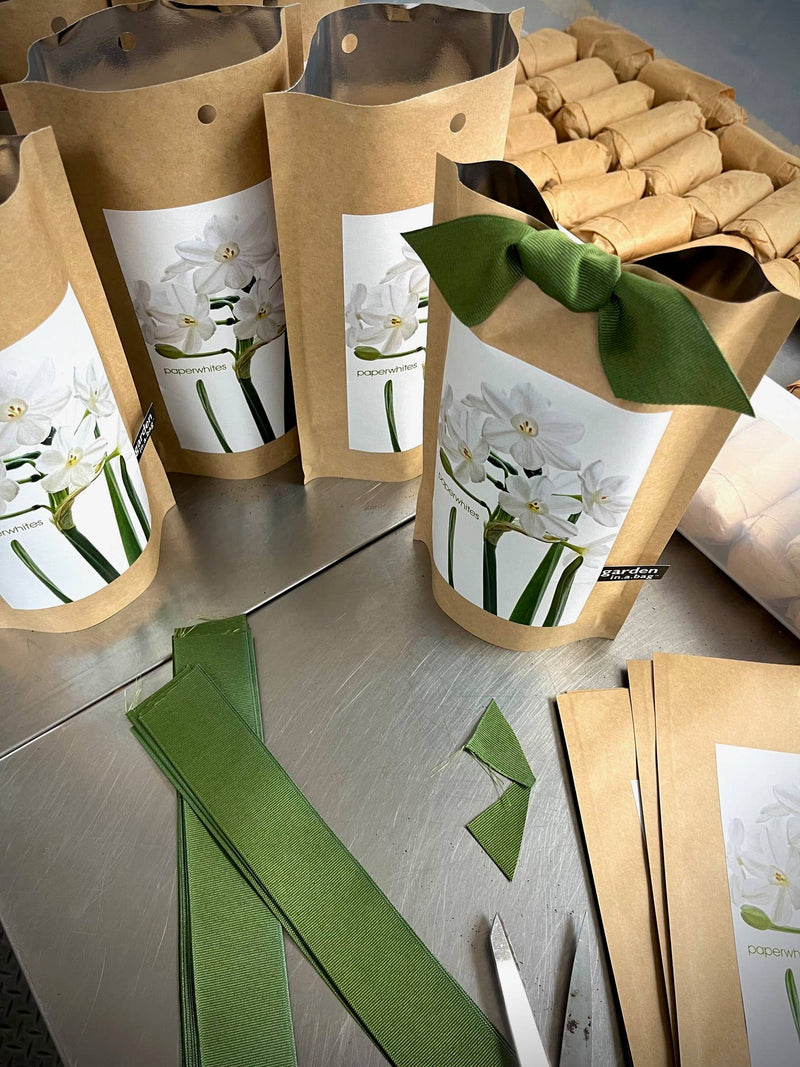 Kraft paper bags labeled with white paperwhite flowers and green stems, arranged with bulbs and planting materials in kraft packaging, displayed with green ribbon.