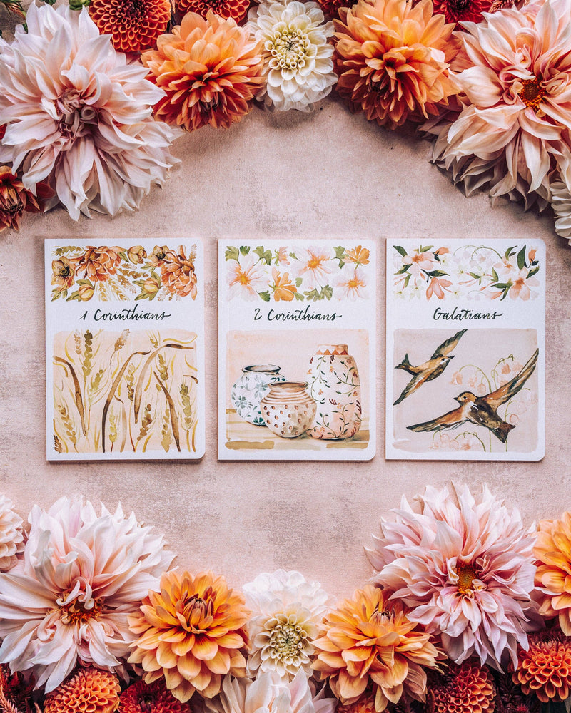 ESV Scripture Journal: NT Set