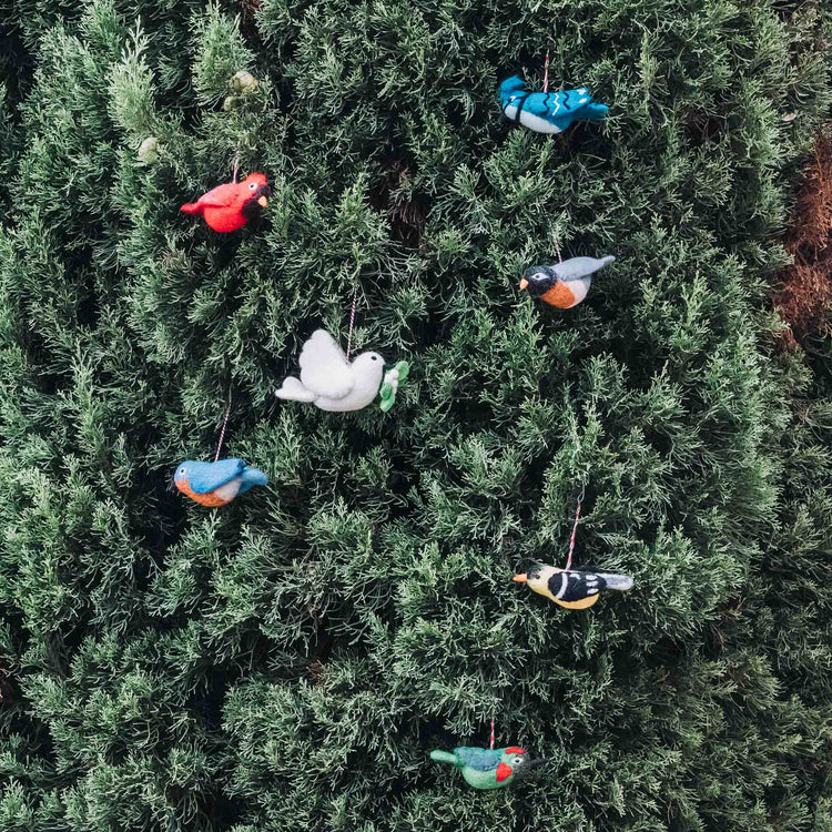 Local Artist Highlights