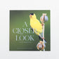 Seeing and Observing Nature Workshop (October 18 @11AM) - FREE