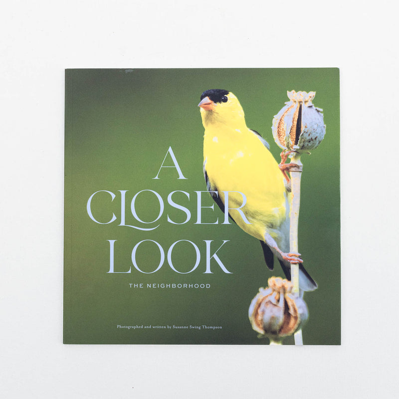 Seeing and Observing Nature Workshop (October 18 @11AM) - FREE