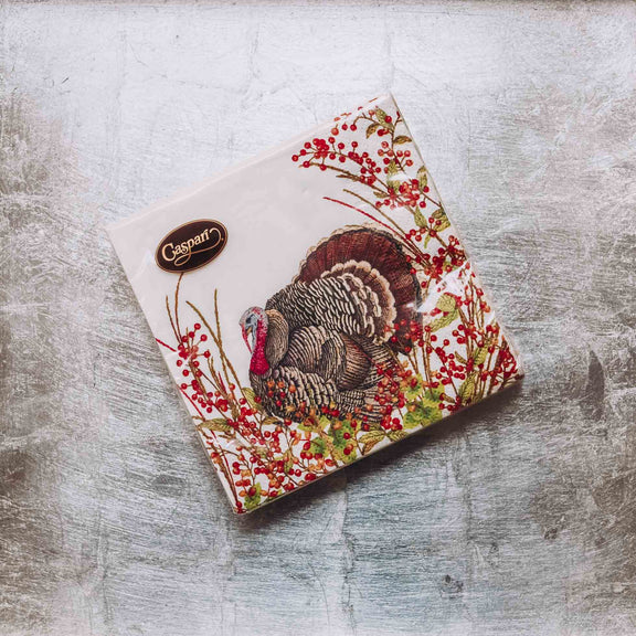 Caspari triple-ply cocktail napkins with illustrated turkey, red berries, and botanical border on cream background