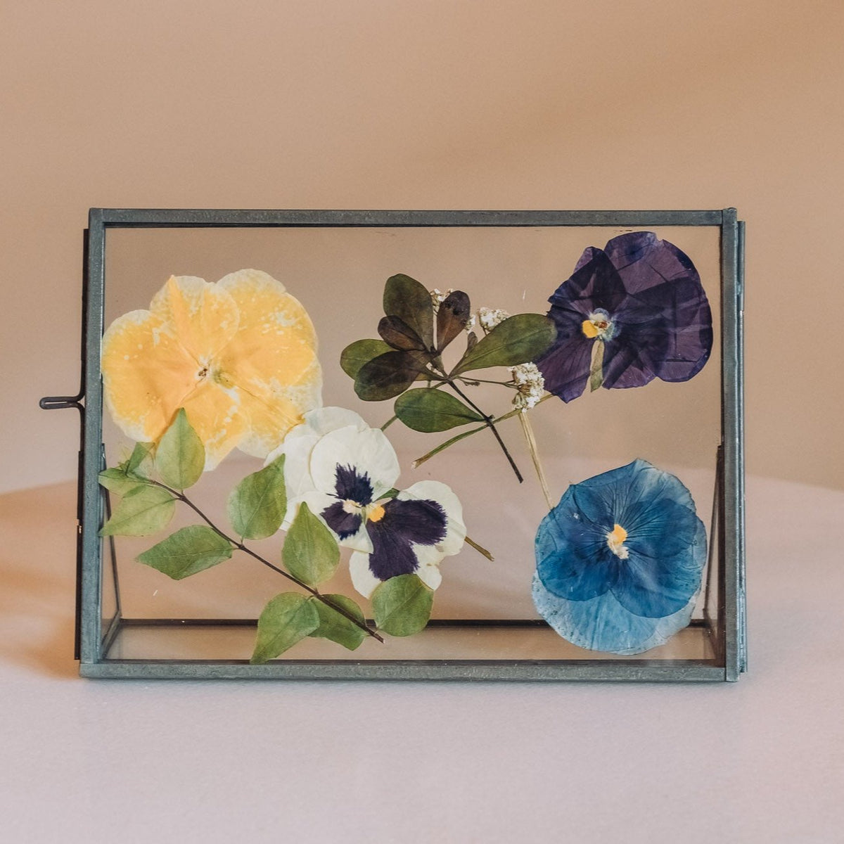 Silver rectangular glass frame with pressed yellow, white, purple, and blue pansies and morning glory with green foliage