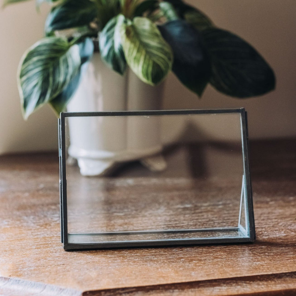 Horizontal floating glass frame with charcoal metal border and stand on wooden surface, styled with foliage.