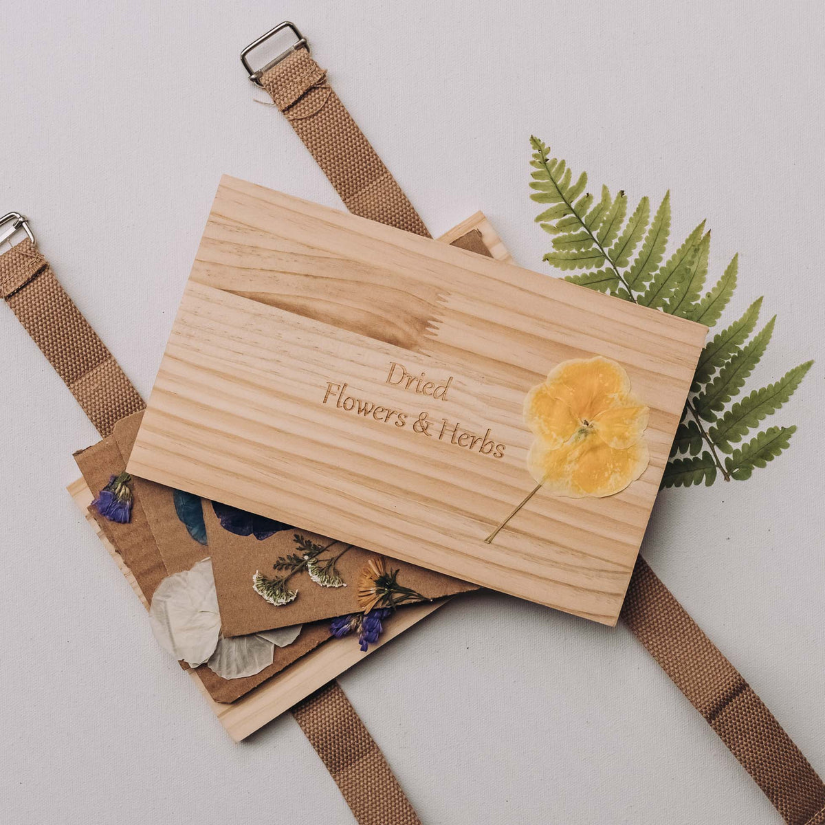 Wooden flower and herb press with canvas straps, engraved "Dried Flowers & Herbs," surrounded by pressed botanicals and ferns.