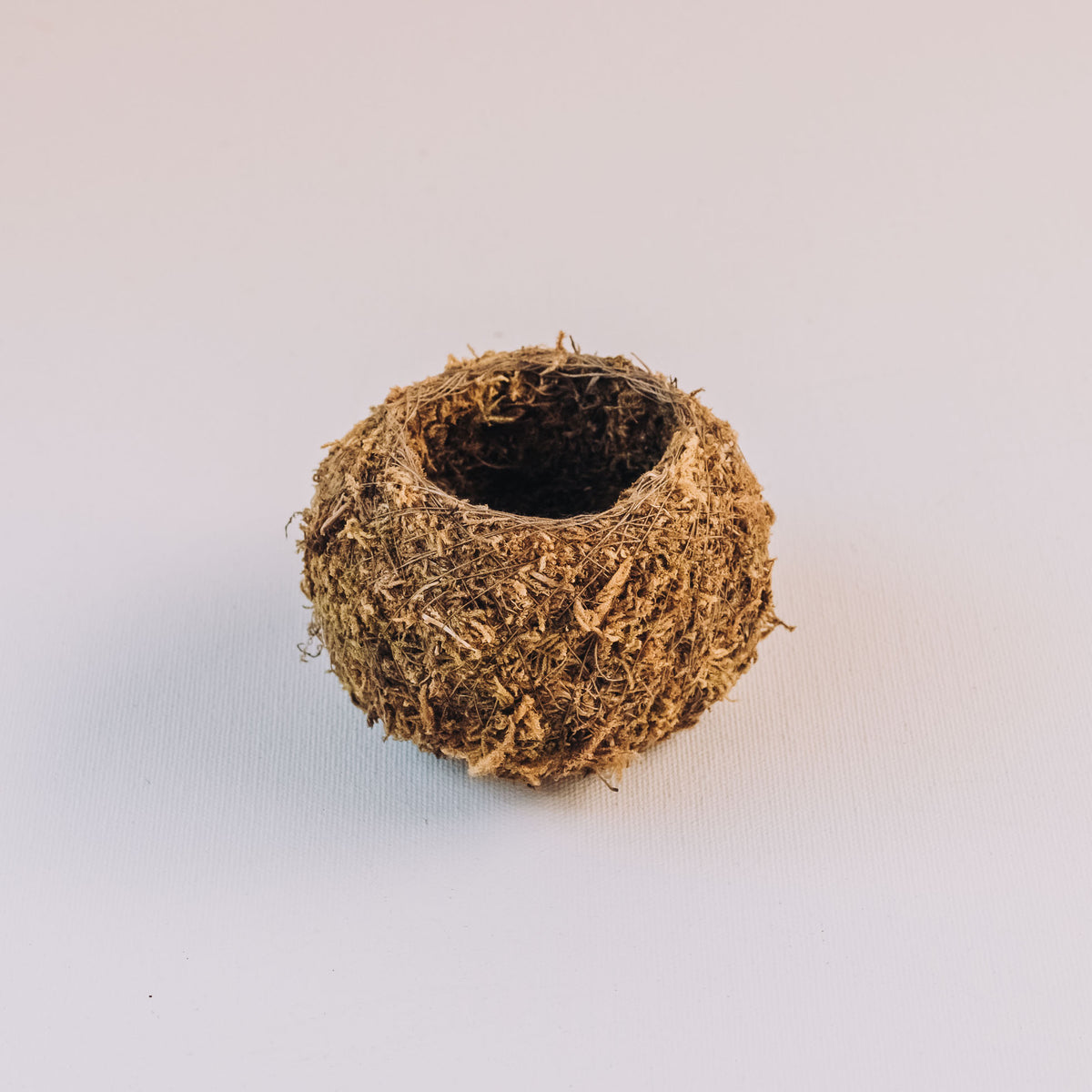 Spherical moss-covered kokedama ball planter with hollow top cavity, showing tan and brown textured moss exterior with visible root soil inside