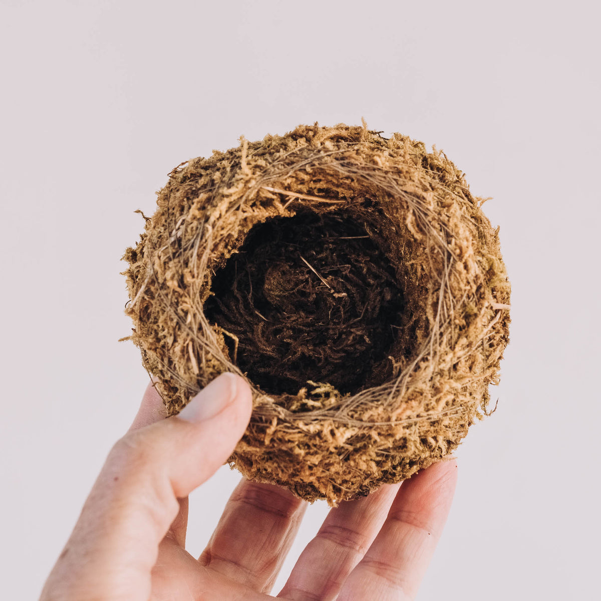 Small kokedama moss ball with tan woven exterior and exposed dark soil center, held in an open palm to show compact size.