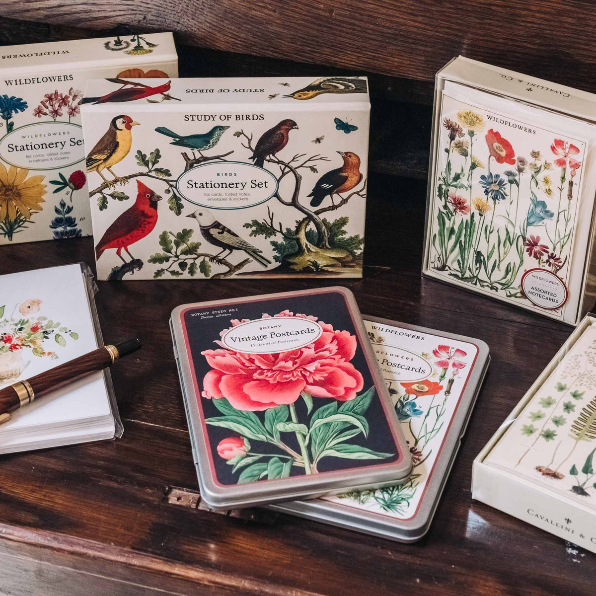Cavallini boxed note card sets arranged on wood, featuring vintage botanical and bird illustrations in watercolor style designs.