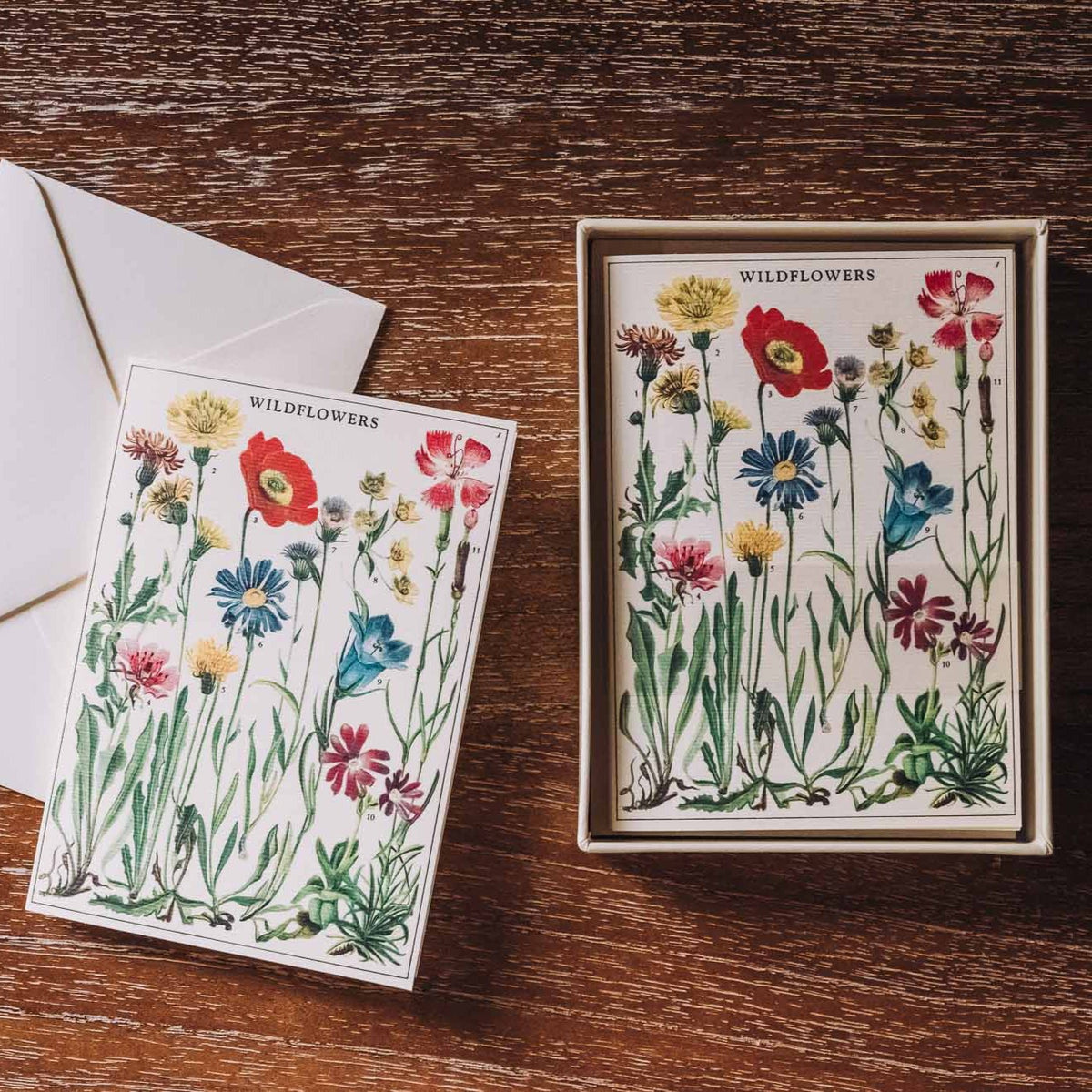 Cavallini Boxed Note Card Set featuring vintage wildflower botanical illustrations in red, blue, and pink on cream paper