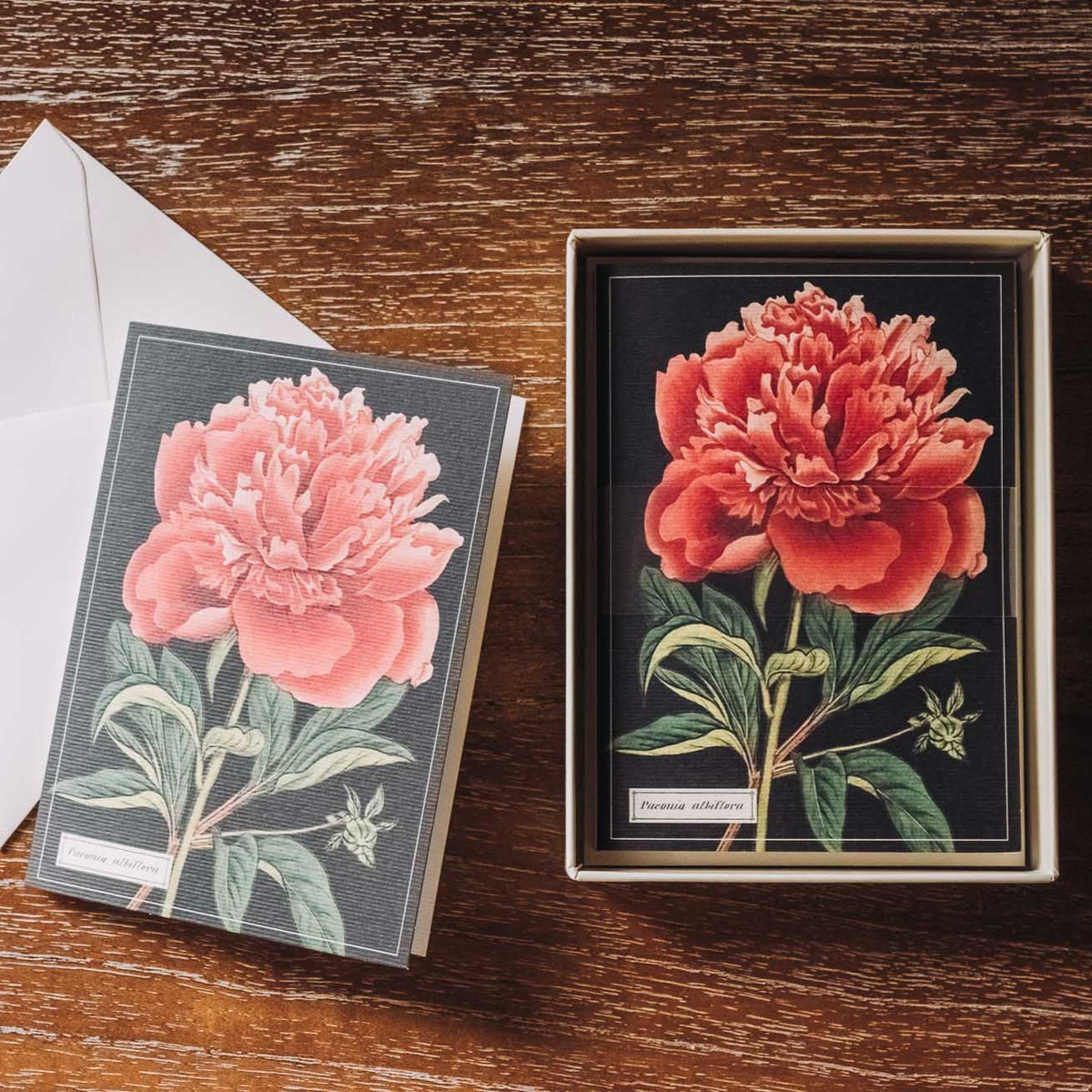 Two vintage botanical note cards featuring detailed peony illustrations, one pink on gray and one red on black with gold-bordered box, displayed on wooden surface