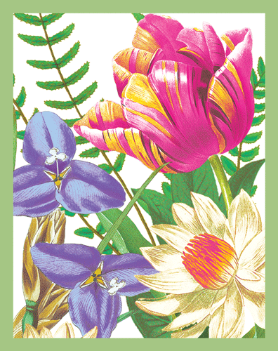 La Dolce Vita Bridge Tally Sheets