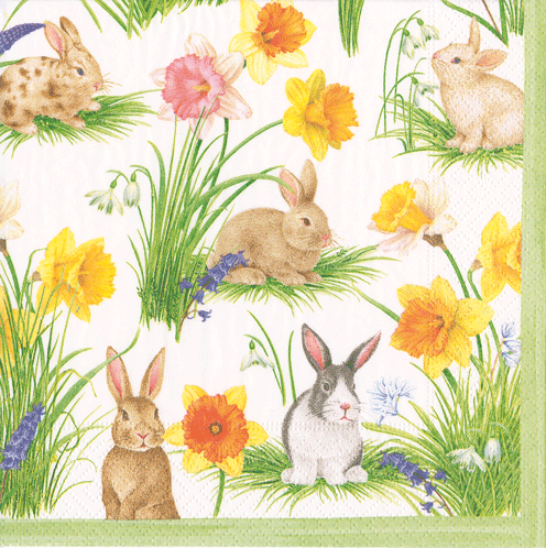 Caspari triple-ply cocktail napkin with bunny and daffodil pattern—brown and gray rabbits amid yellow, pink, and orange spring flowers on white background
