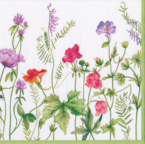 Multicolor floral cocktail napkins with pink and red carnations, purple flowers, and delicate fern sprigs on white, triple-ply Caspari design