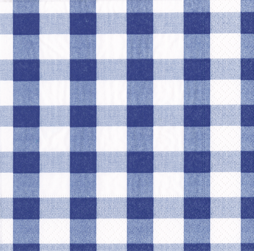 Blue and white gingham check pattern cocktail napkins